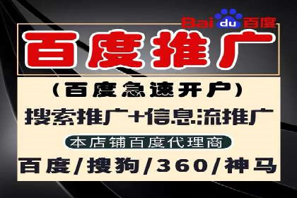 SEO与SEM案例分析：提升网站排名策略